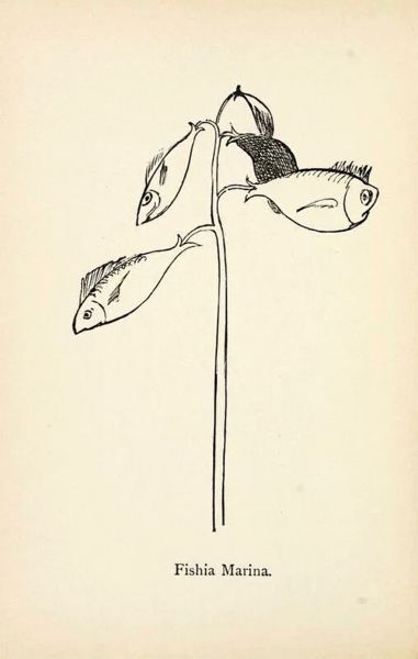 Файл:Nonsense Botany-2.jpg