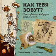 Как тебя зовут? : всё о цветах, живущих рядом с нами / Евгения Гюнтер ; художник Анна Ритум
