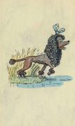 Золотой ключик, или Приключения Буратино / А. Толстой ; рис. А. Каневский, 1948