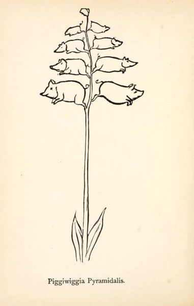 Файл:Nonsense Botany.jpg