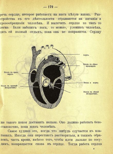 Файл:ZHurnal-Tropinka (4).jpg