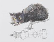 Алиса в Стране чудес ; Алиса в Зазеркалье / Льюис Кэрролл ; художник Душан Каллай