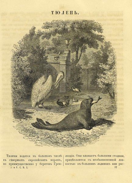 Файл:ZHurnal-Zabavy-i-rasskazy-3.jpg