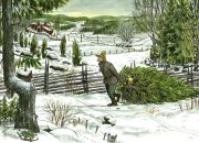 Pettson & Findus / Sven Nordqvist